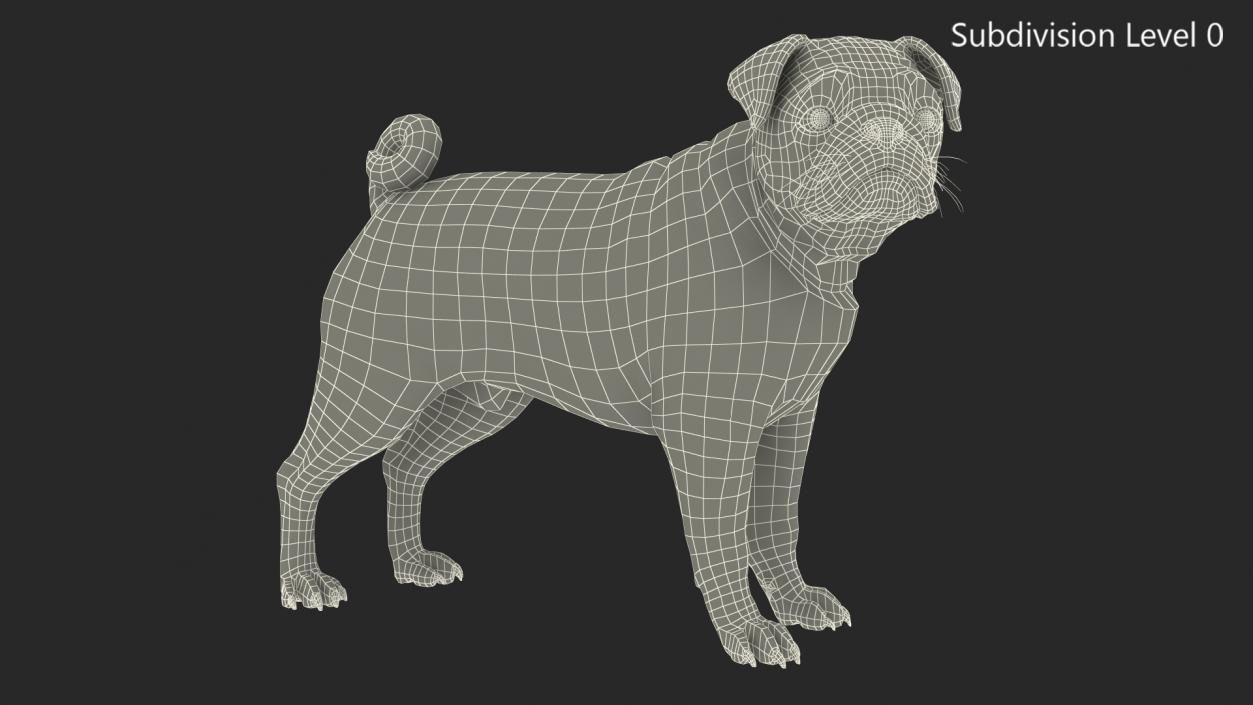 3D Pug Dog Fur