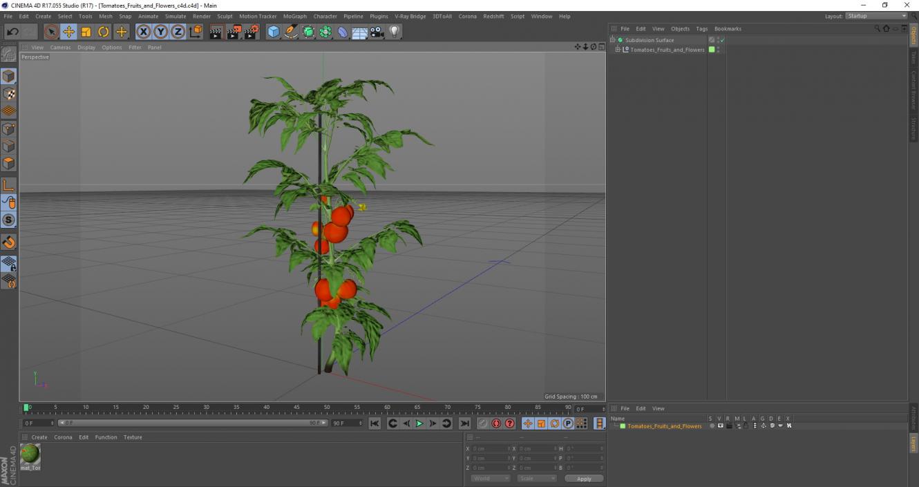 Tomatoes Fruits and Flowers 3D