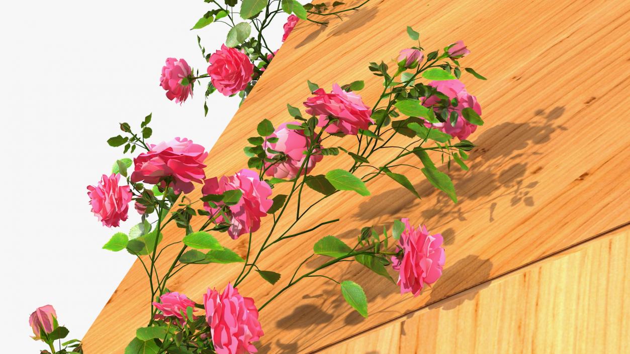 Wooden Gazebo Covered with Pink Roses 3D