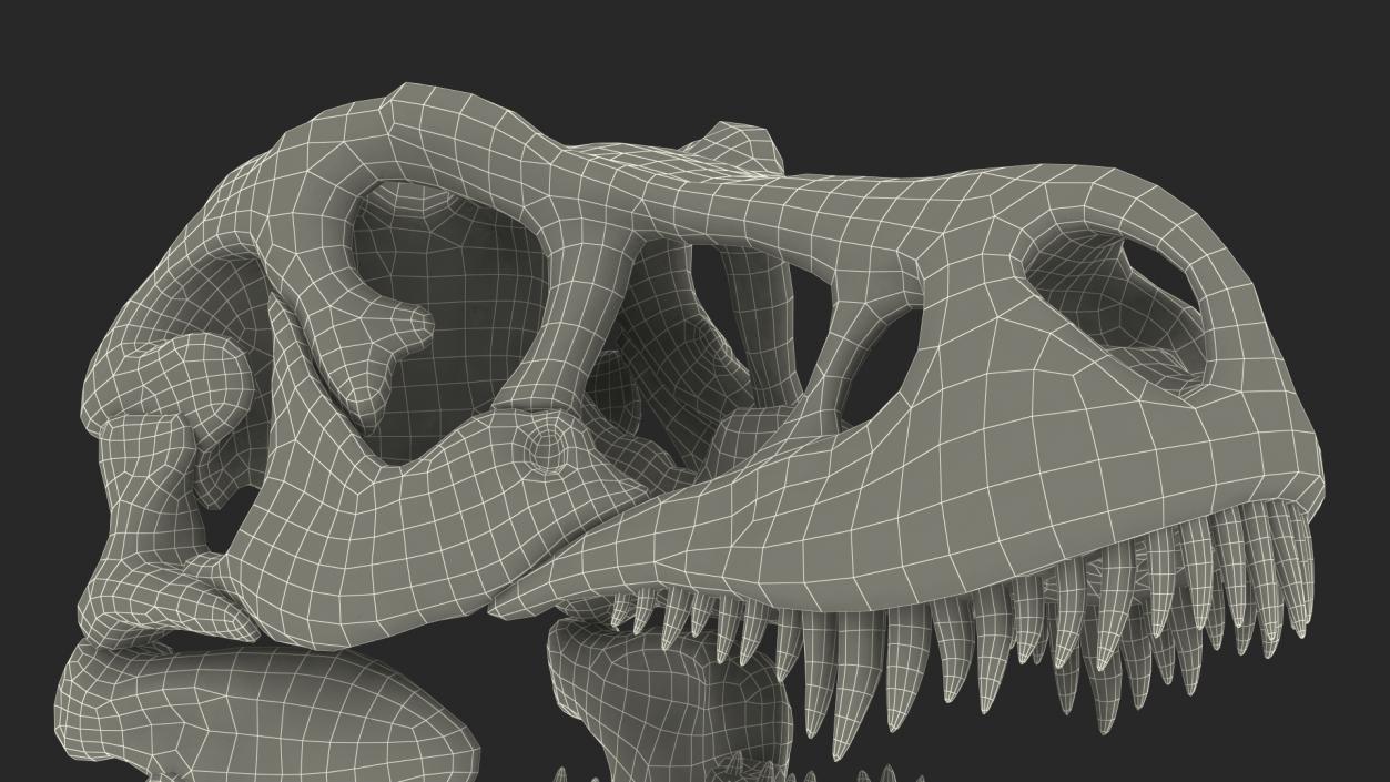 3D Tyrannosaurus Rex Skeleton
