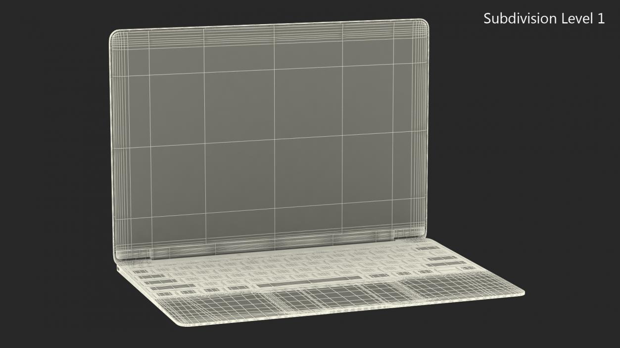 3D Silver Thin Laptop model