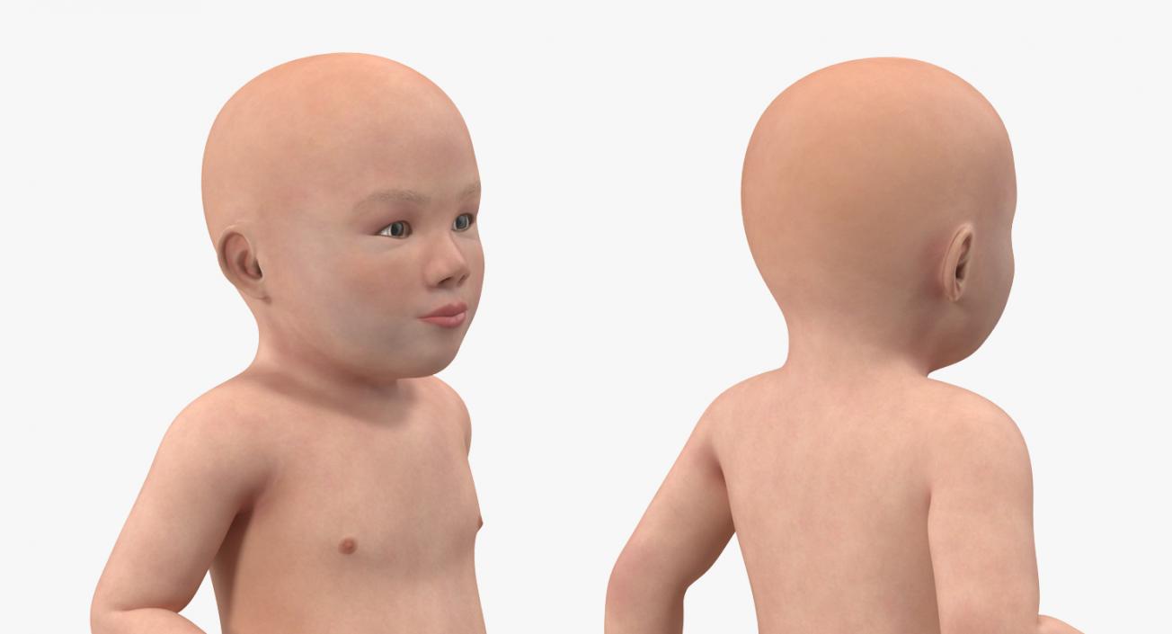 Asian Baby Boy Walking 3D
