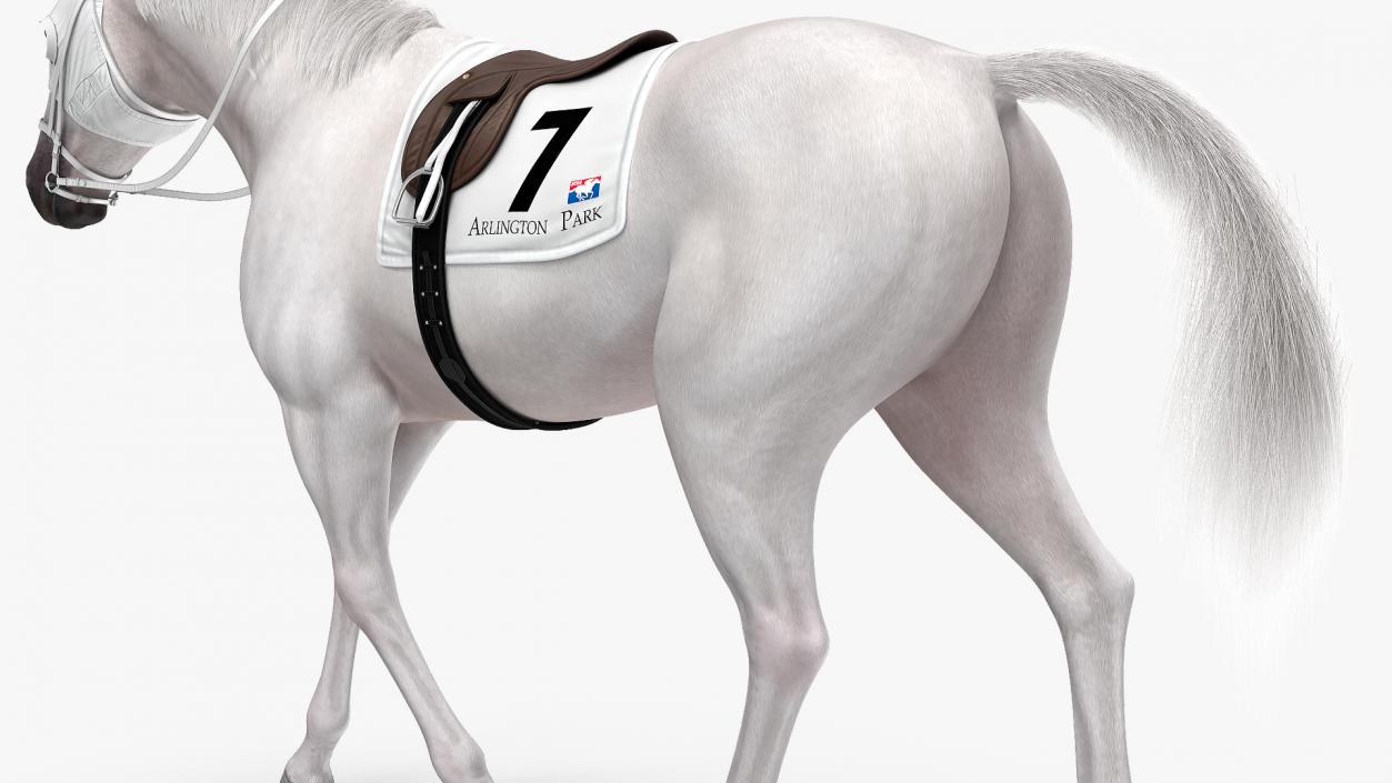 3D White Racehorse Fur Rigged