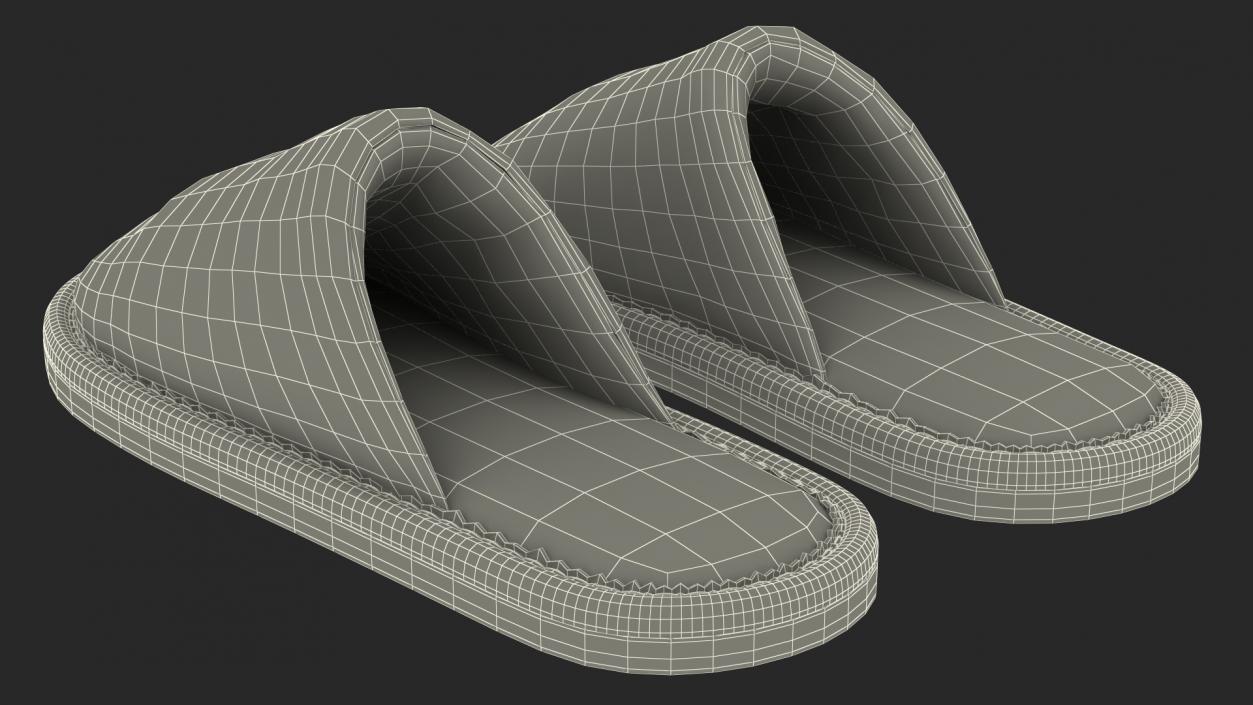 House Slippers Generic 3D