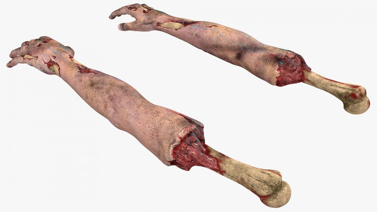3D model Bloody Zombie Arms Rigged