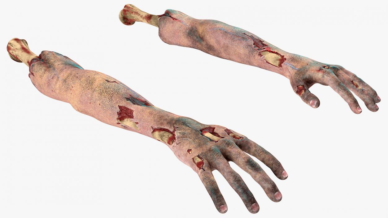 3D model Bloody Zombie Arms Rigged