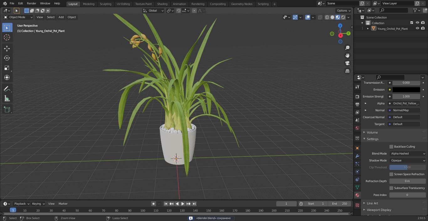 Young Orchid Pot Plant 3D