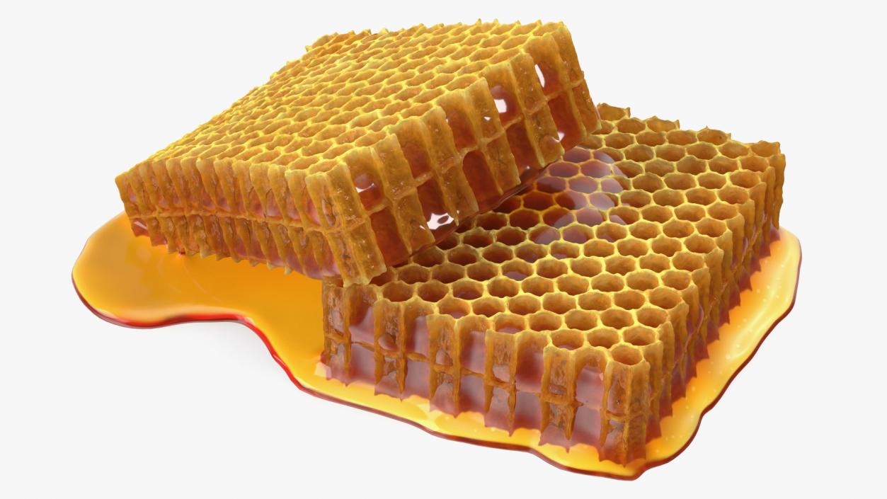 3D model Fresh Cut Honeycombs