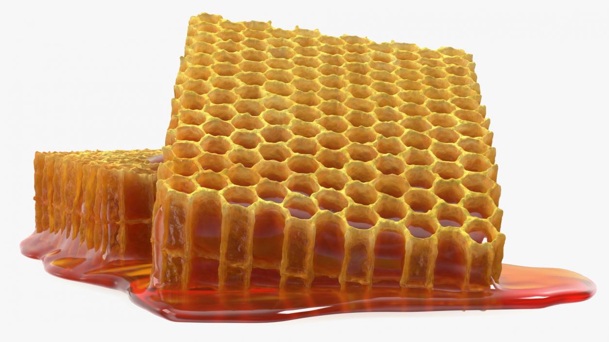 3D model Fresh Cut Honeycombs