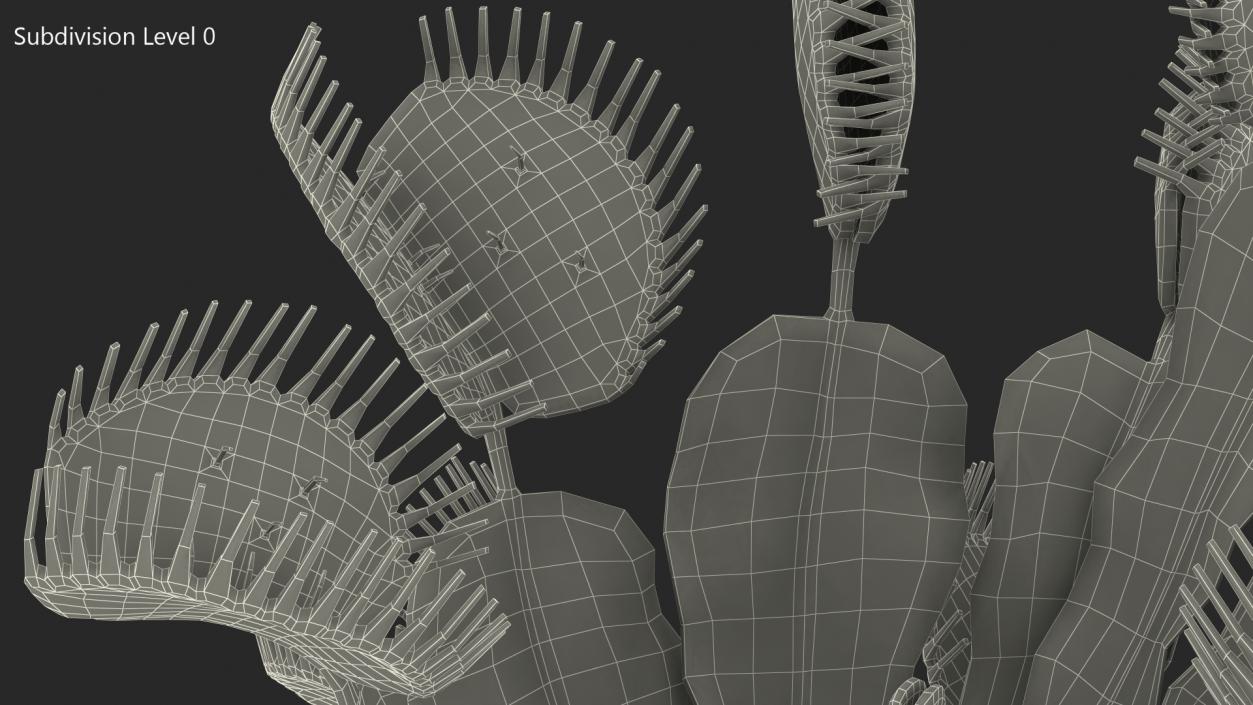 Venus Flytrap Dionaea Muscipula Plant 3D