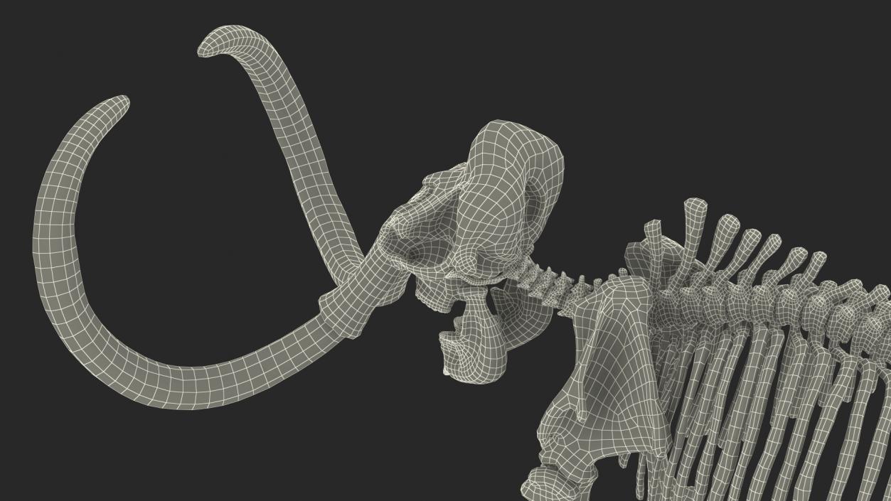 3D Mammoth Skeleton Old Bones Rigged model