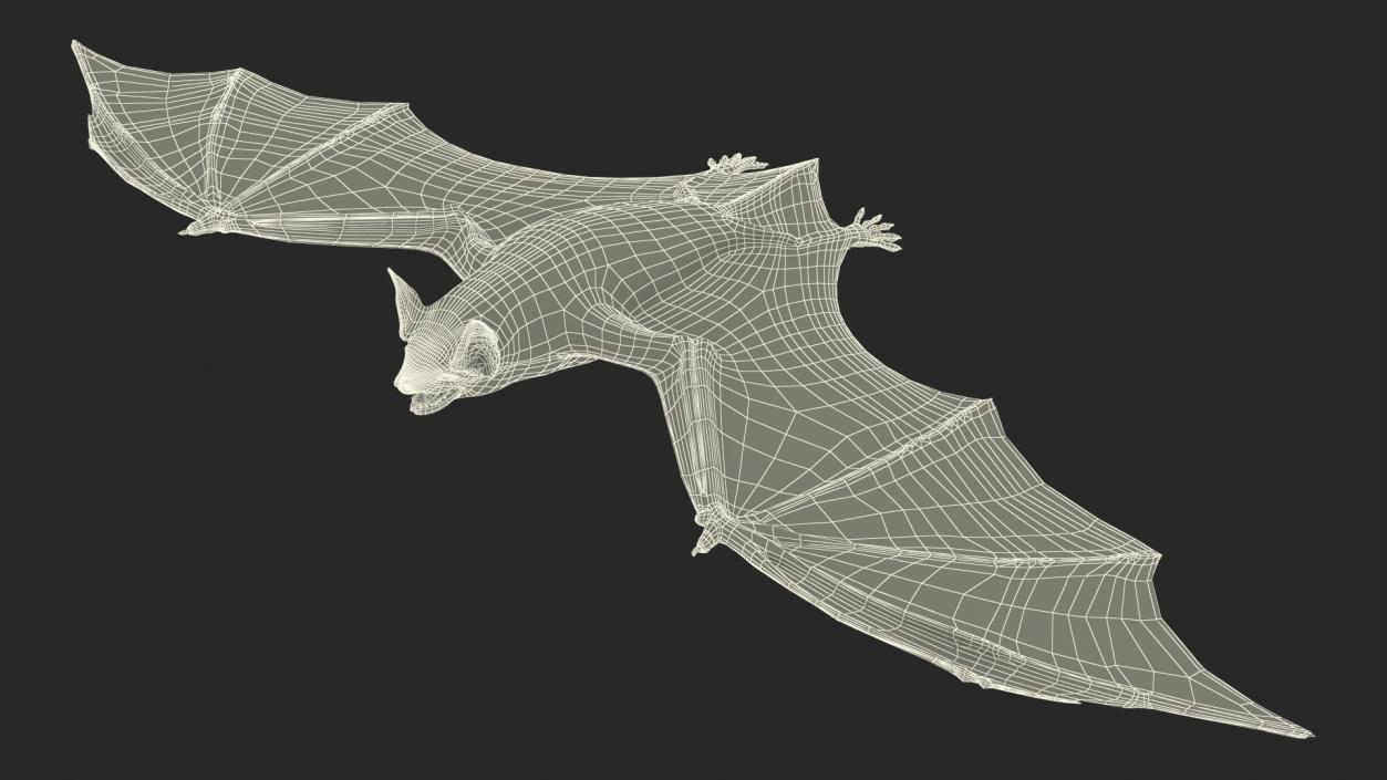 Black Bat 3D model