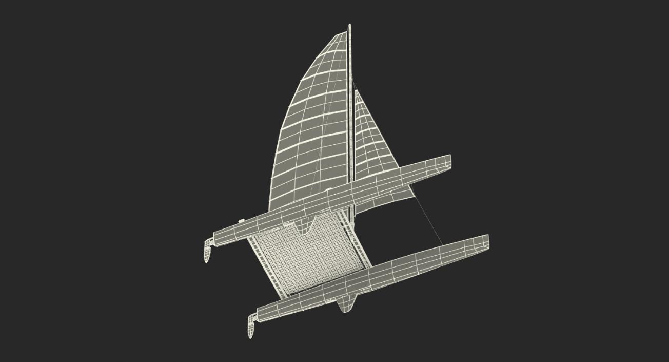 3D International A Class Catamaran