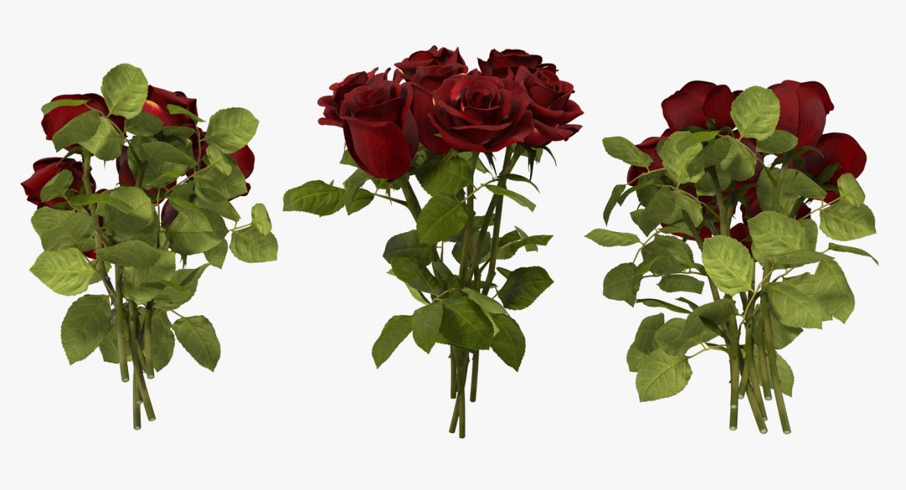 3D Bouquet of Roses