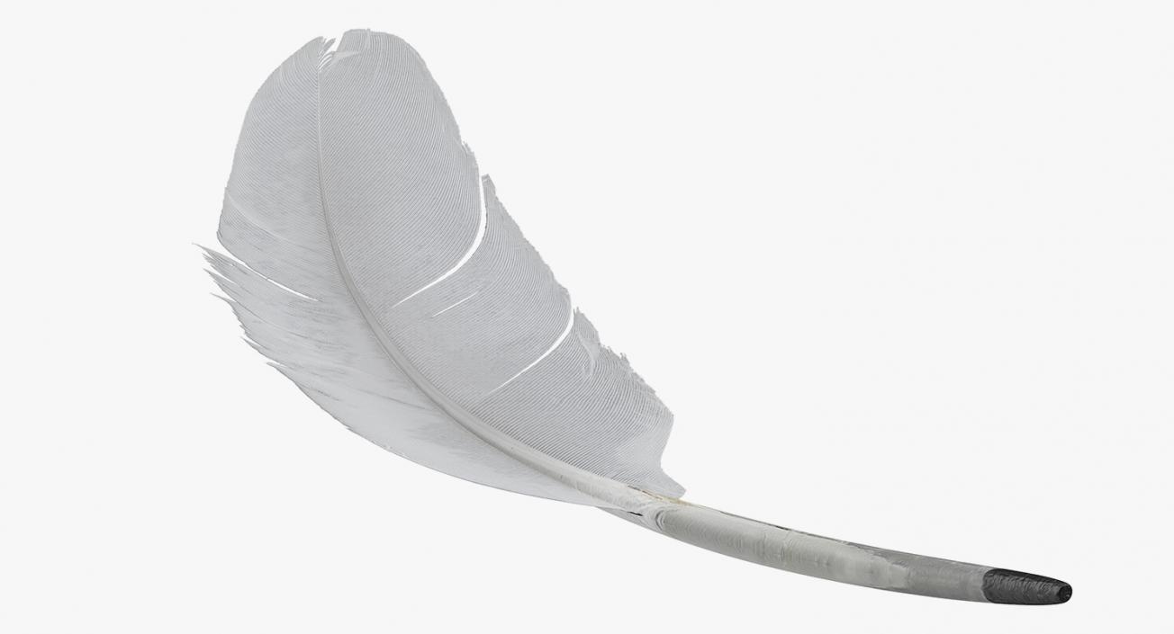 White Goose Feather 3D model