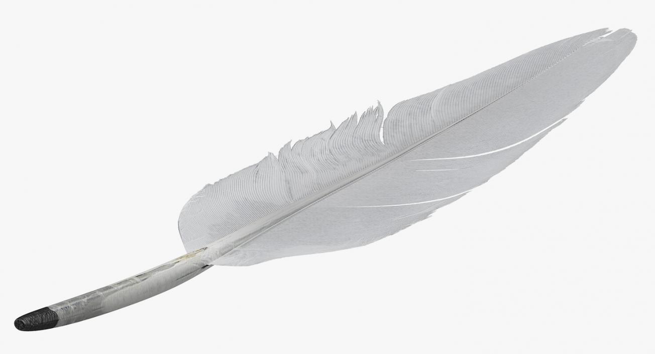 White Goose Feather 3D model