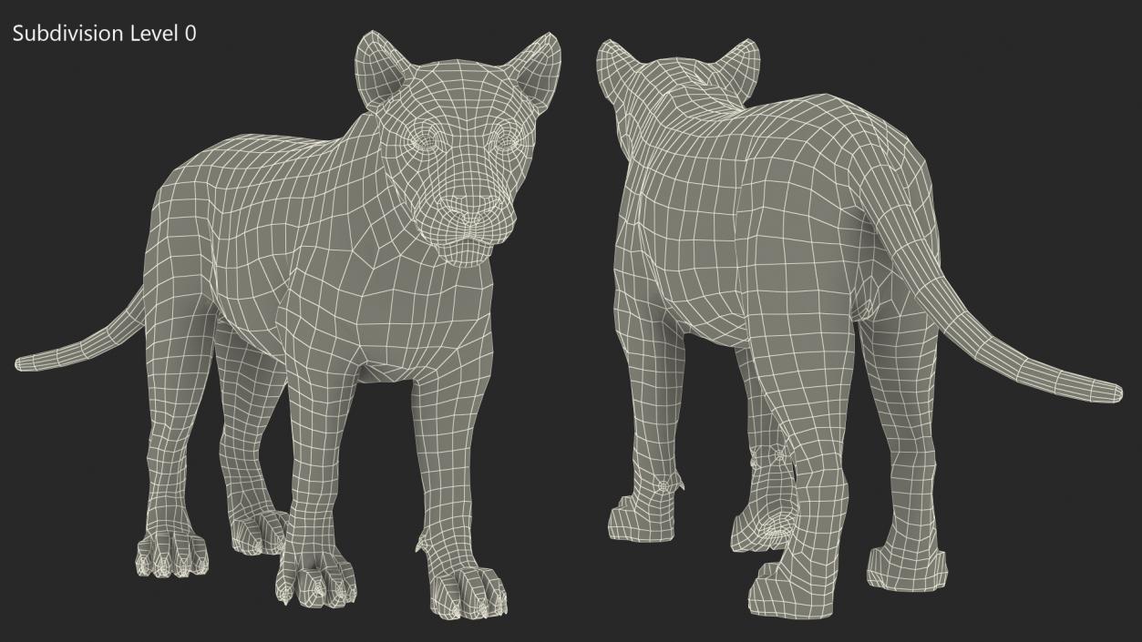 3D Young Lion Walking Pose model