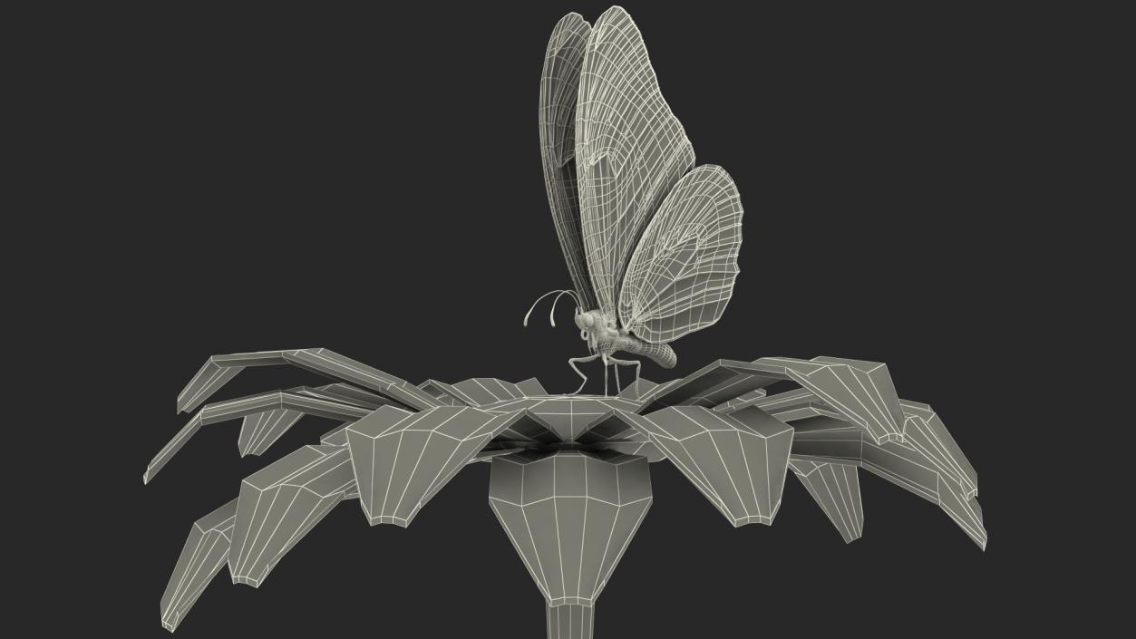 Animated Monarch Butterfly Sits on Swinging Flower Rigged 3D