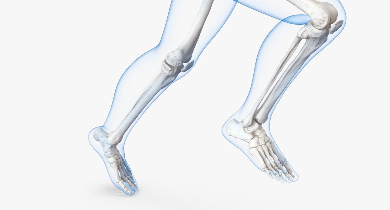 3D Male Body with Skeleton Running Pose