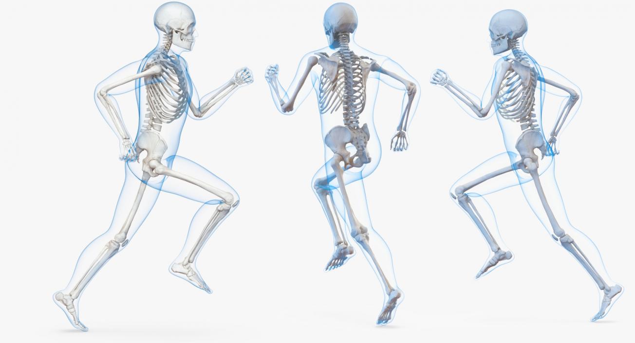 3D Male Body with Skeleton Running Pose