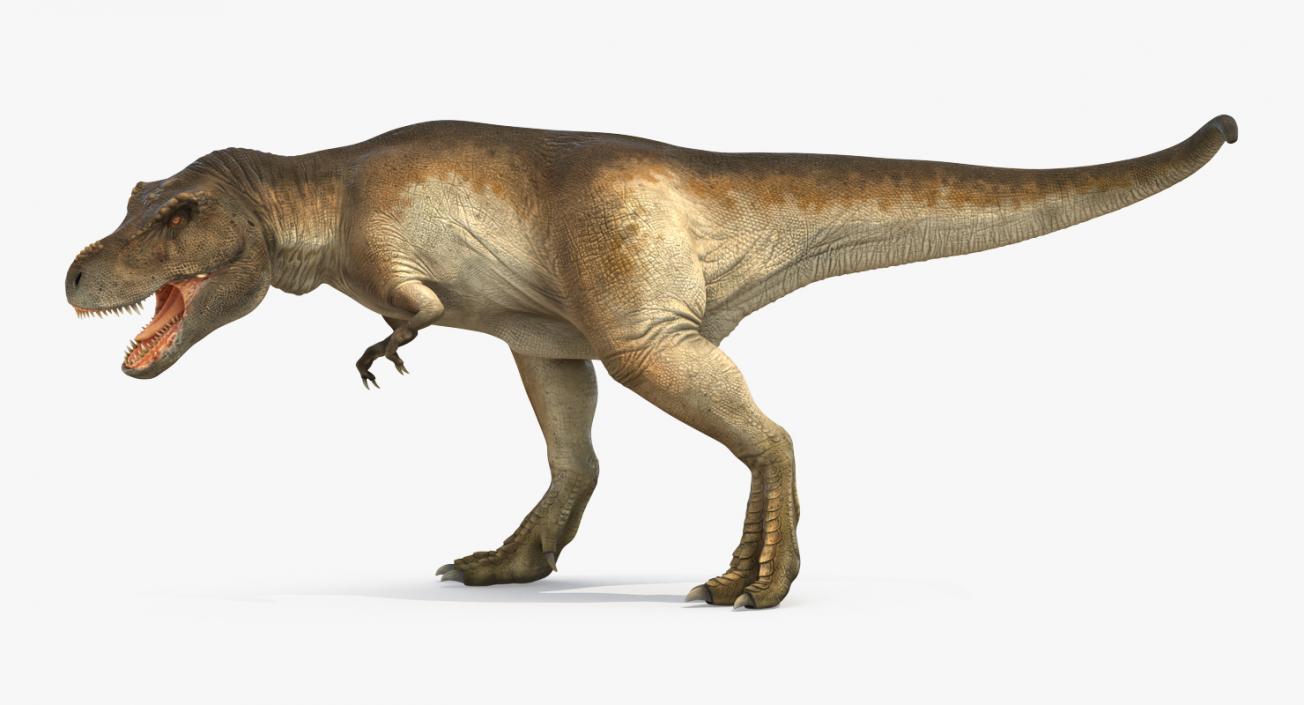 3D model Tyrannosaurus Rex Attacks