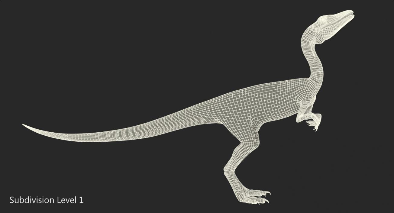 3D model Dinosaur Compsognathus Worried Pose