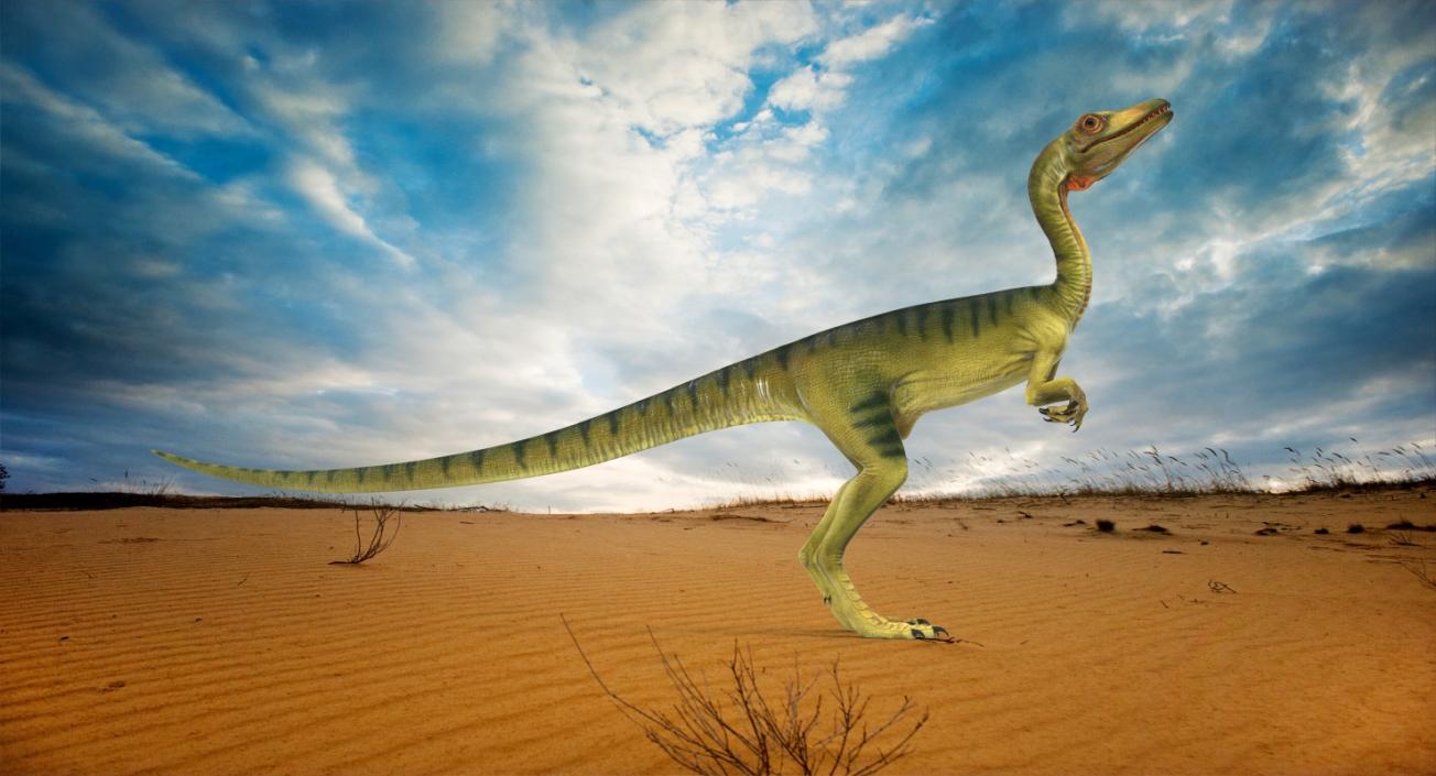 3D model Dinosaur Compsognathus Worried Pose