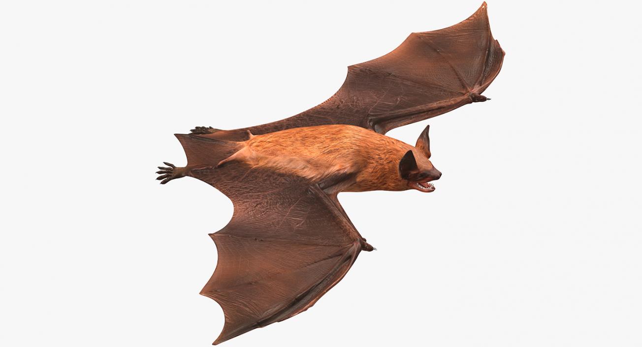 Bat 3D model