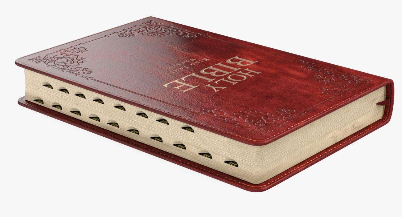 Holy Bible Closed Book 3D