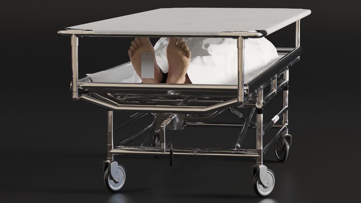 Covered Gurney CSI Jevett with Male Corpse 3D
