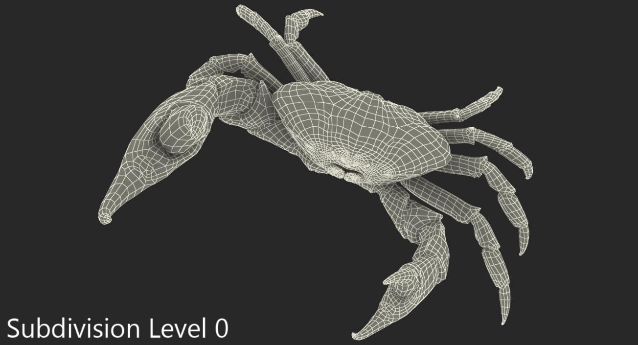 Tasmanian Giant Crab Fighting Pose 3D model