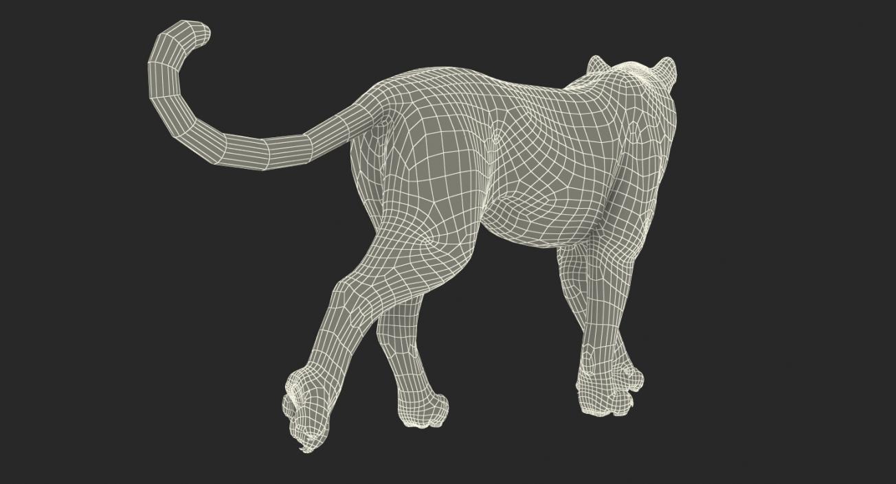 Leopard Walking Pose with Fur 3D model