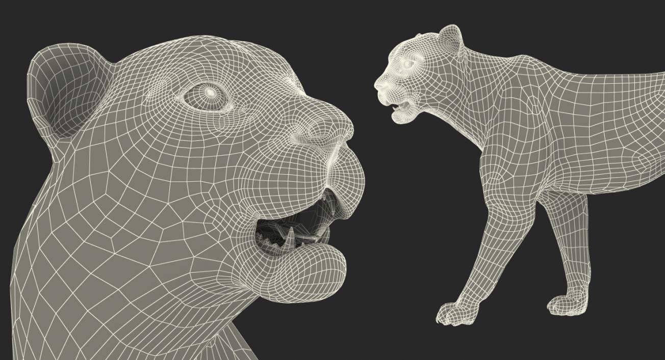 Leopard Walking Pose with Fur 3D model