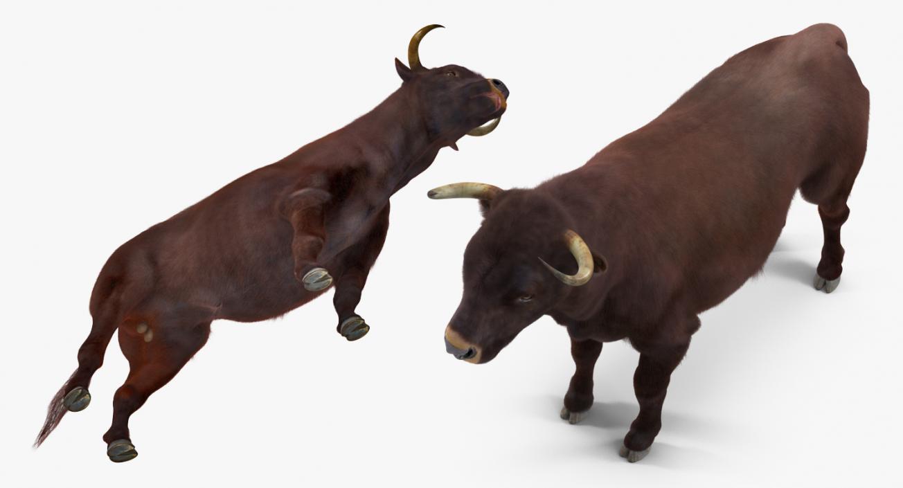 3D Bull with Fur model