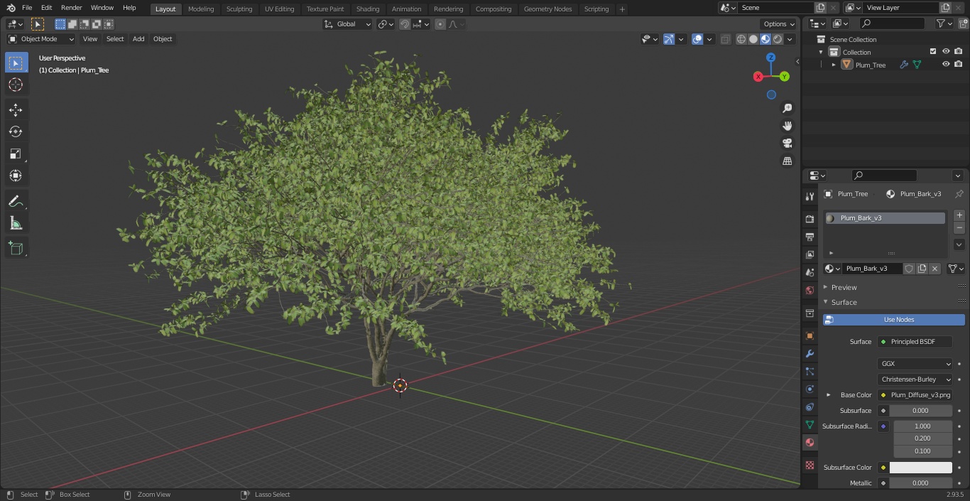 Plum Tree 3D model