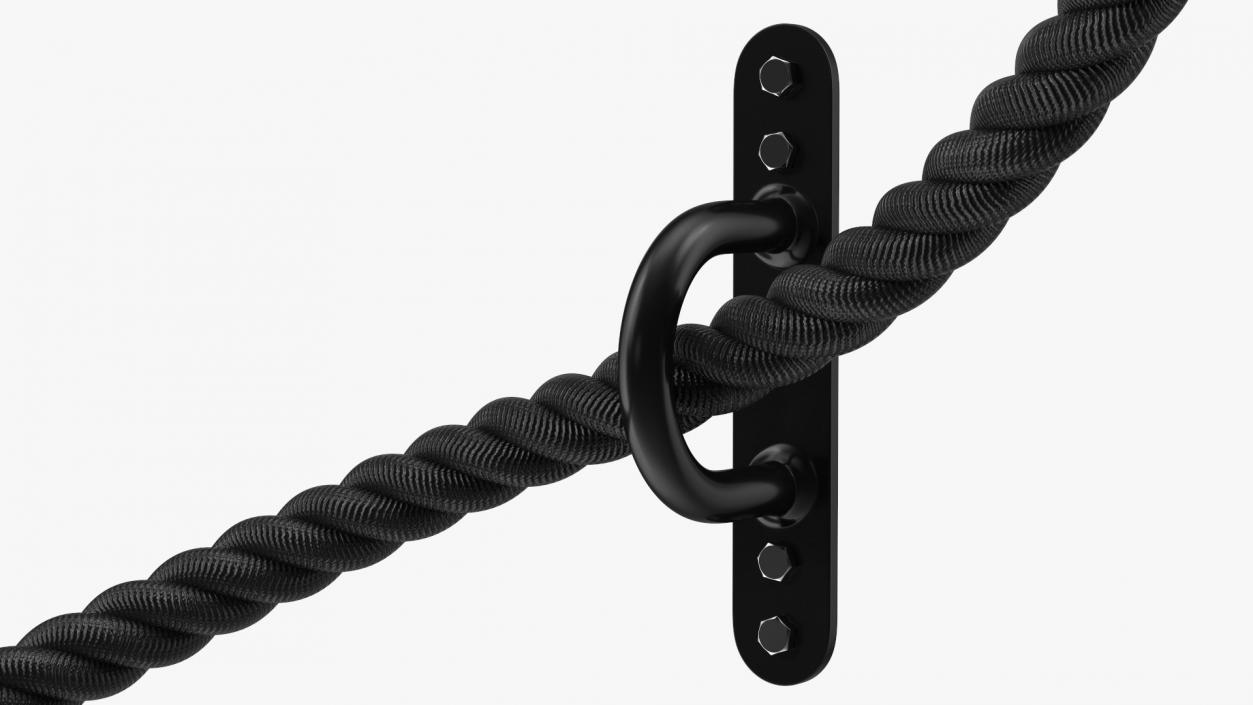 3D model Pure2Improve Battle Rope with Wall Mount