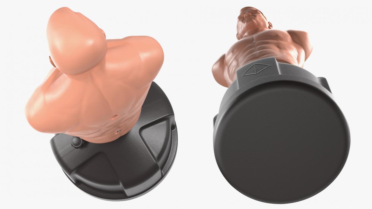3D model Century Bob Body Opponent Training Dummy