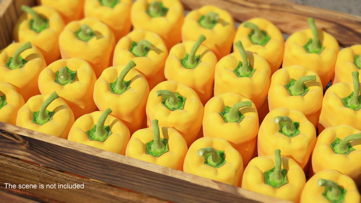 Sweet Long Pepper Yellow 3D model