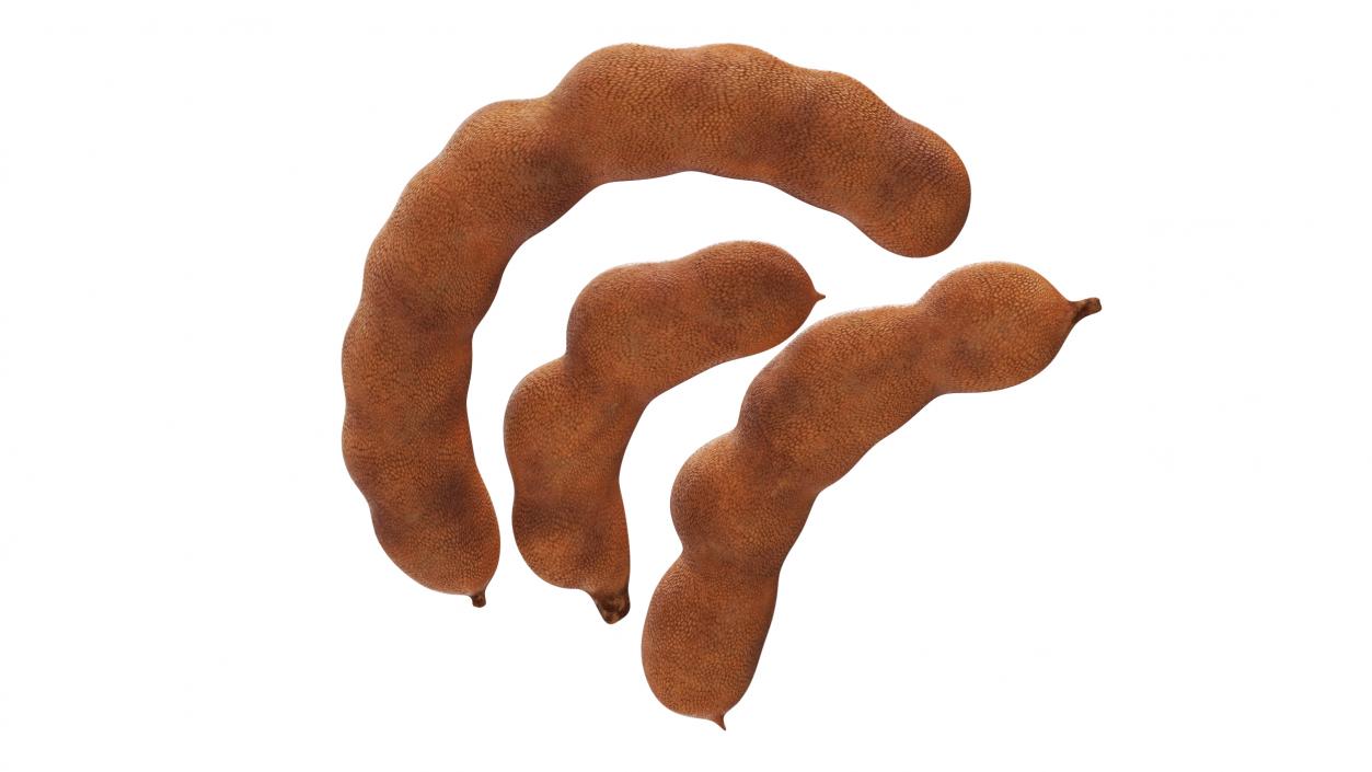 3D model Whole Tamarind Tropical Fruits