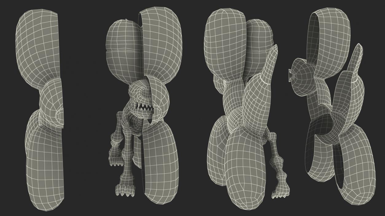 3D Mini Balloon Dog Skeleton Anatomy model