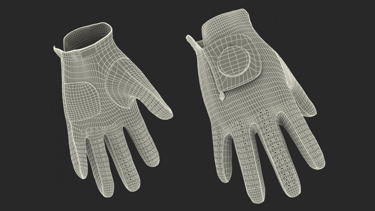 3D Premium Golf Gloves Asher White