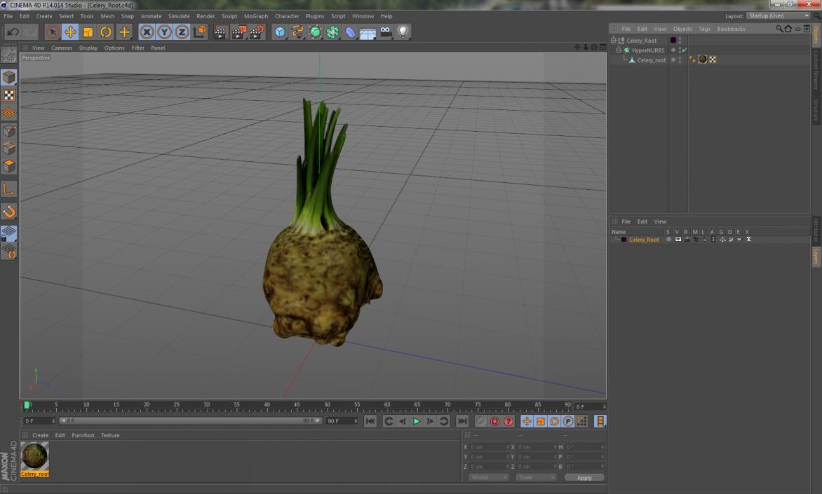 3D Celery Root