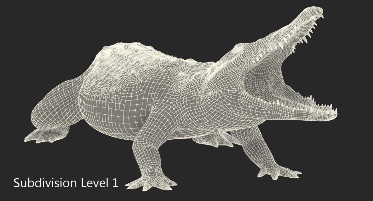 Crocodile Attacks 3D