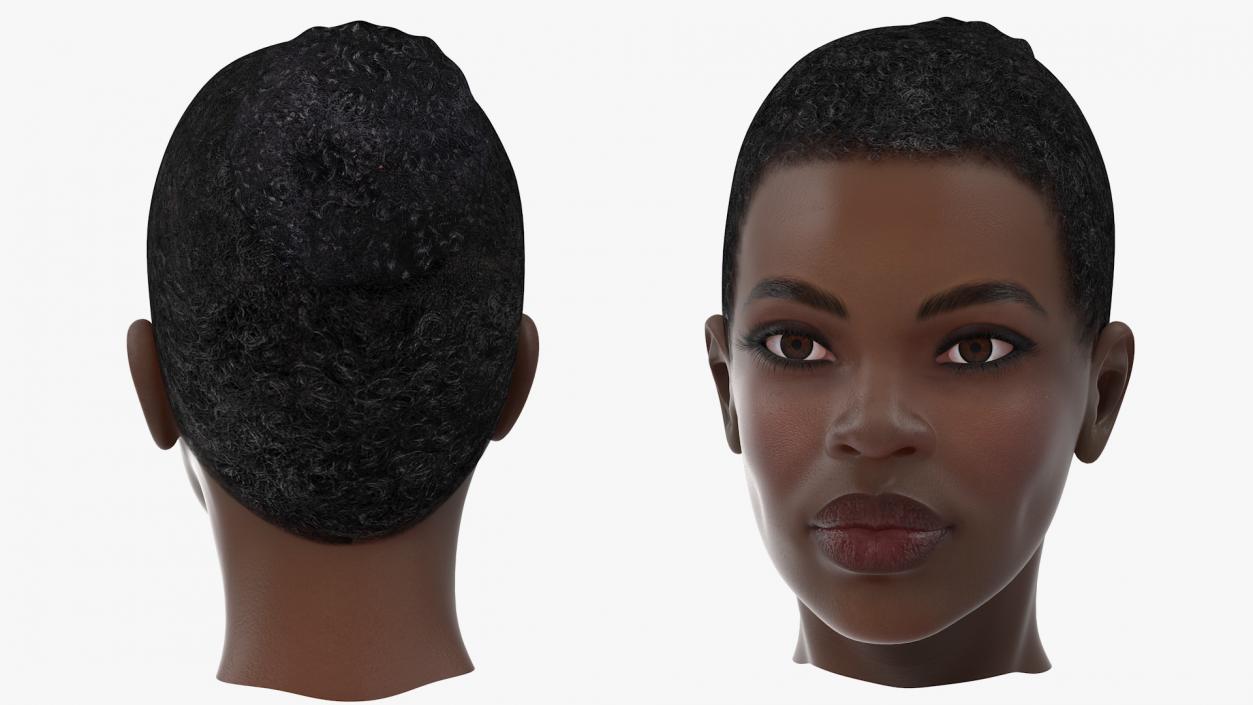 Afro American Woman Head Dark Skin 3D model