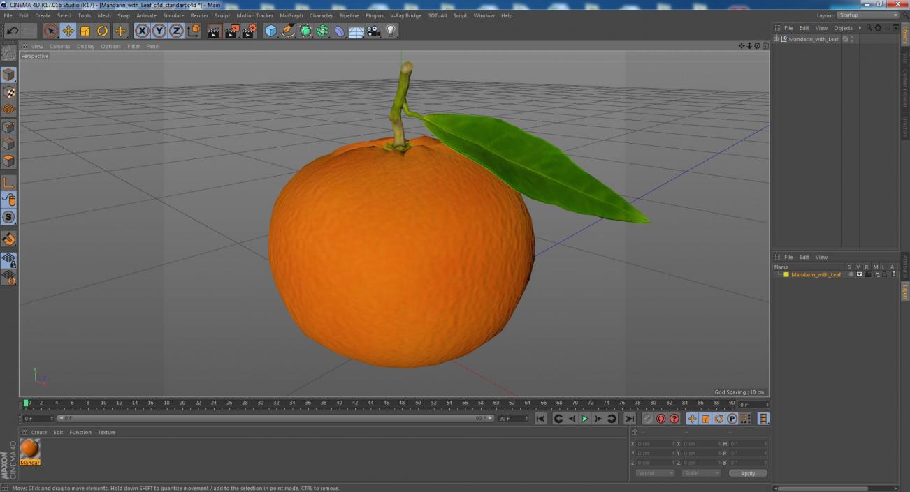 3D Mandarin with Leaf model