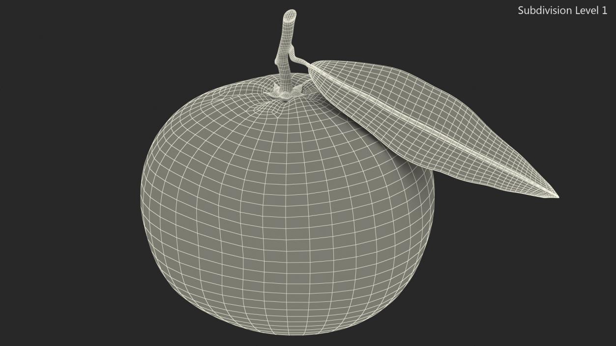 3D Mandarin with Leaf model