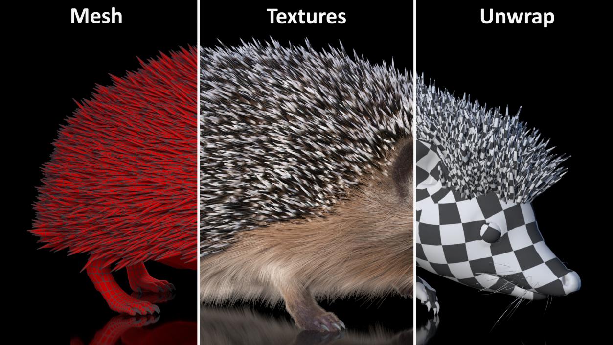 3D Walk Black Hedgehog Fur model