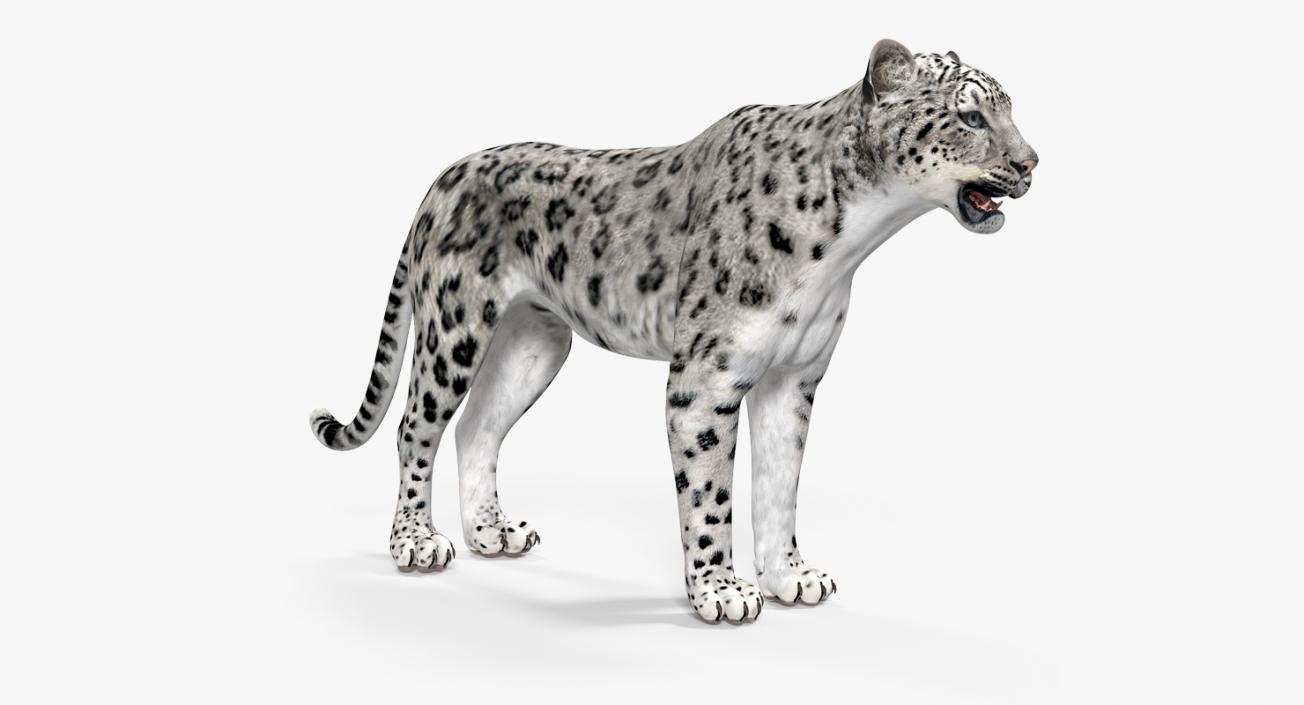 Snow Leopard 3D