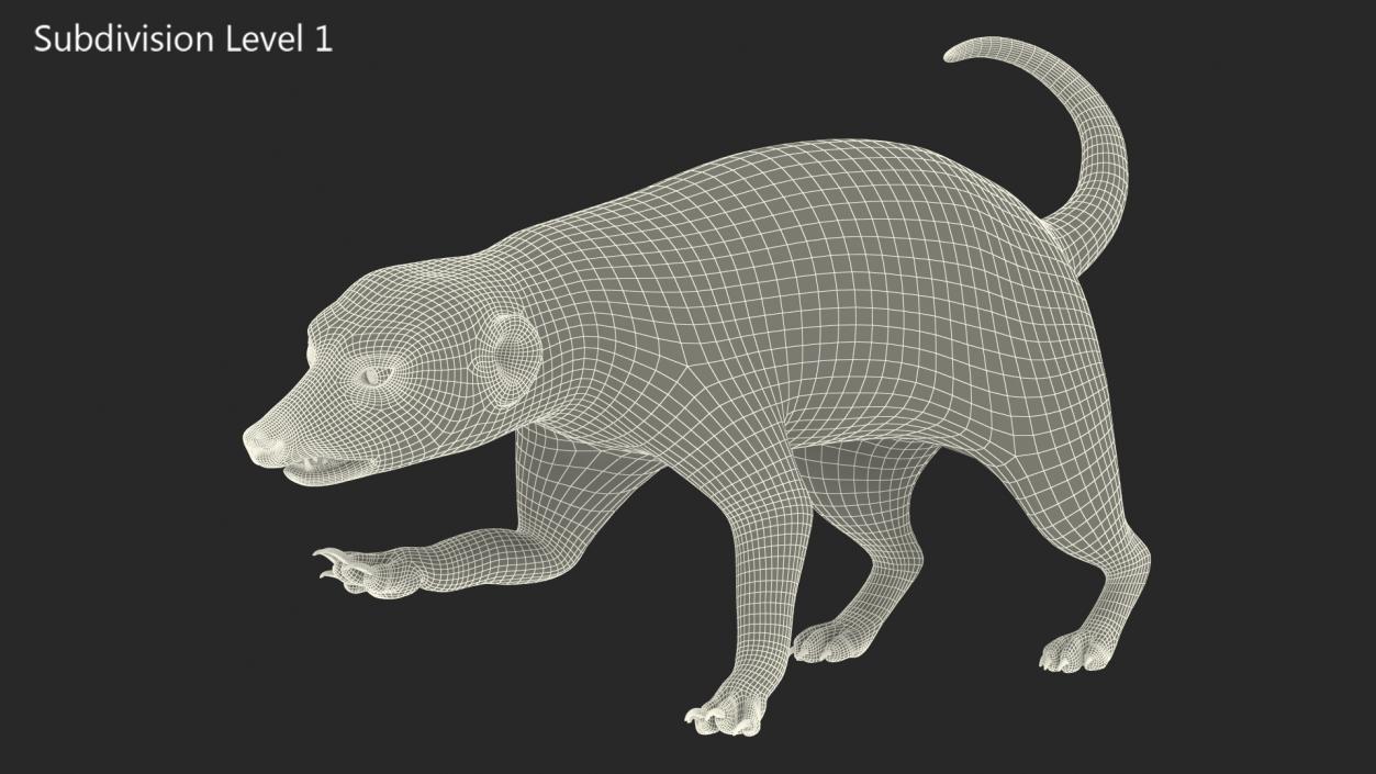 Meerkat Rigged 3D model