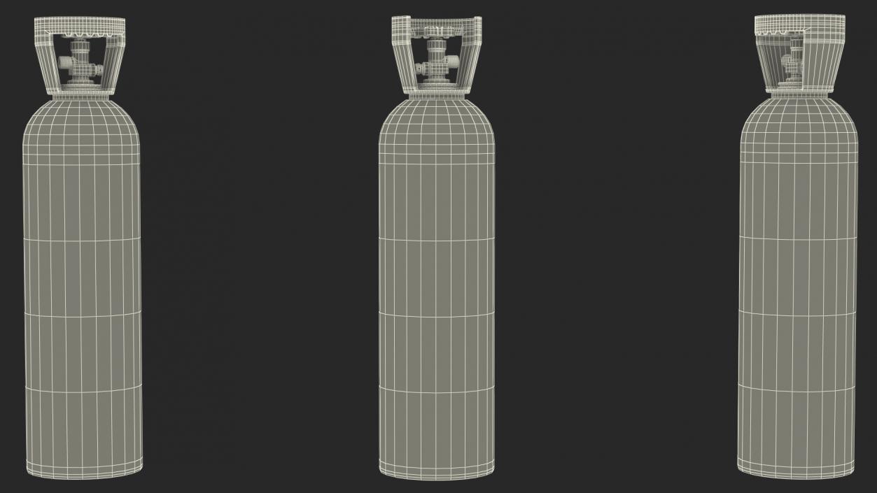 3D Aluminum CO2 Cylinder